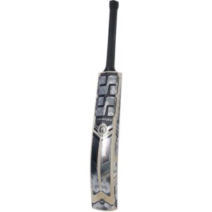 SS Premium Silver 3.0 Kashmir Willow Cricket Bat -SH